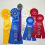 Thein Le Award Ribbons