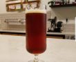 Robot Imperial Red at Stereo Brewing